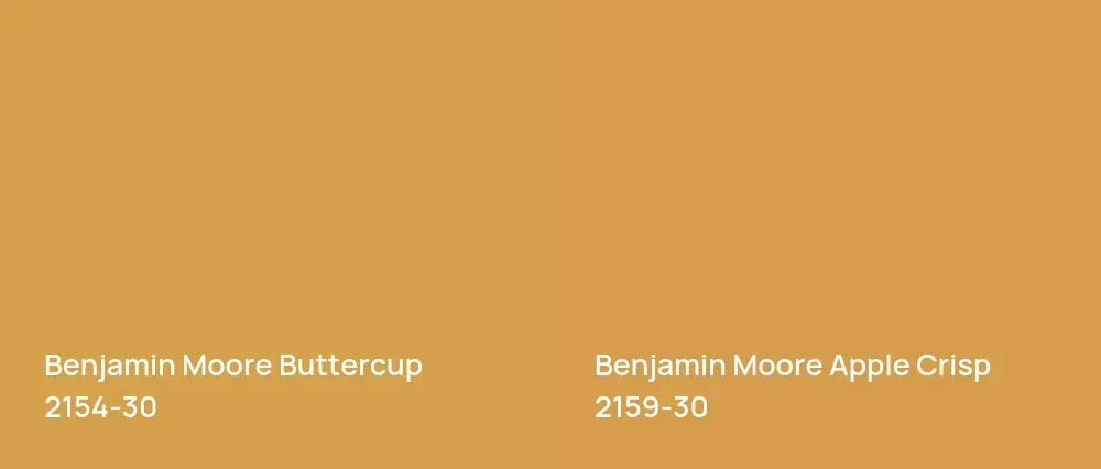 Benjamin Moore Buttercup 2154-30 vs Benjamin Moore Apple Crisp 2159-30