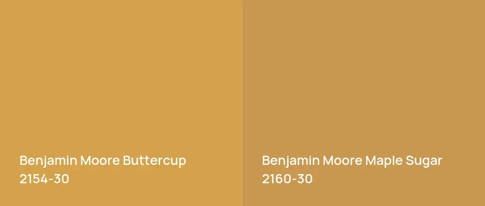 Benjamin Moore Buttercup 2154-30 vs Benjamin Moore Maple Sugar 2160-30