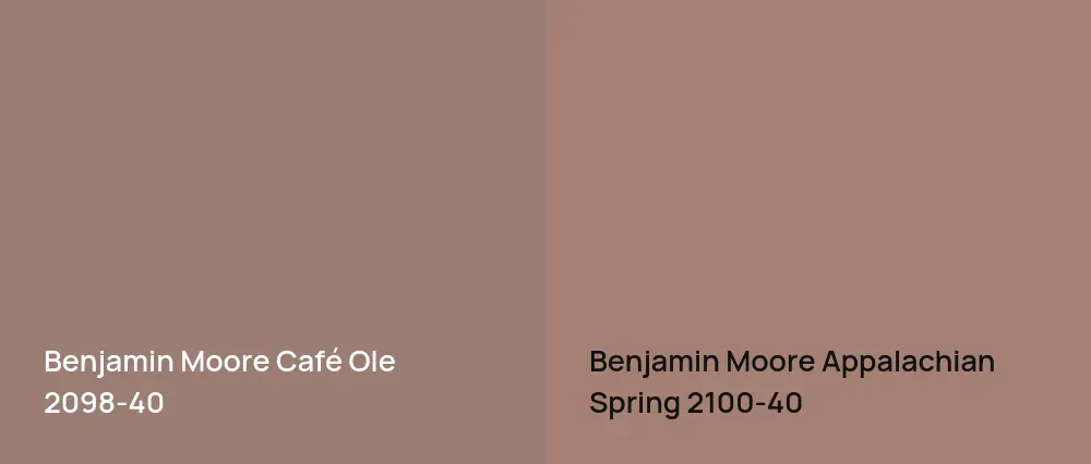 Benjamin Moore Café Ole 2098-40 vs Benjamin Moore Appalachian Spring 2100-40