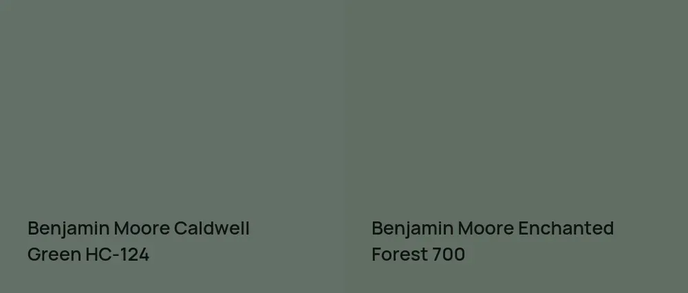 Benjamin Moore Caldwell Green HC-124 vs Benjamin Moore Enchanted Forest 700