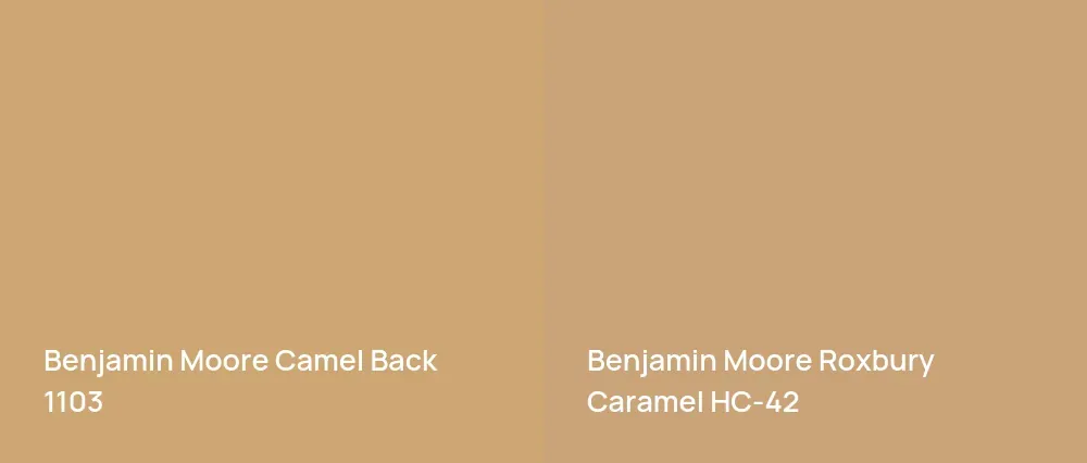 Benjamin Moore Camel Back 1103 vs Benjamin Moore Roxbury Caramel HC-42