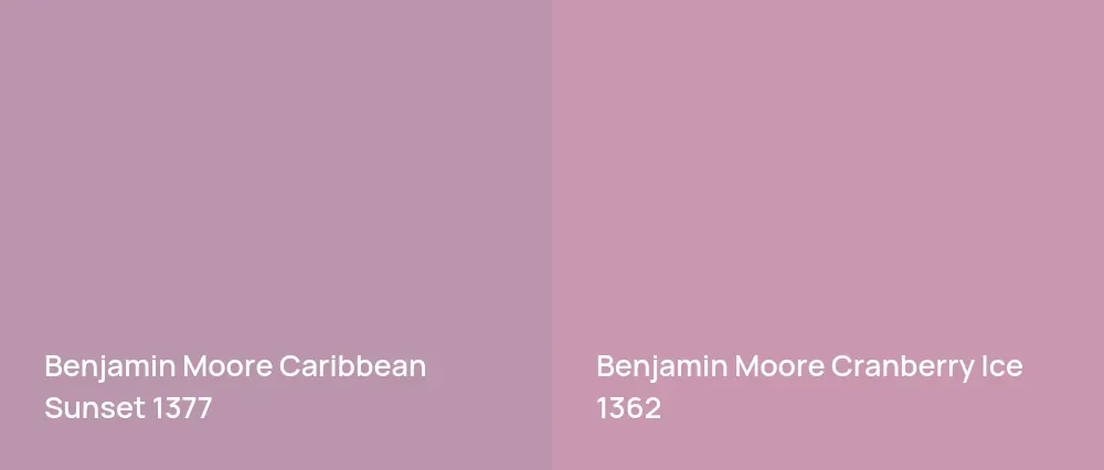 Benjamin Moore Caribbean Sunset 1377 vs Benjamin Moore Cranberry Ice 1362
