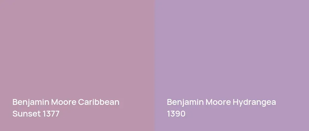 Benjamin Moore Caribbean Sunset 1377 vs Benjamin Moore Hydrangea 1390