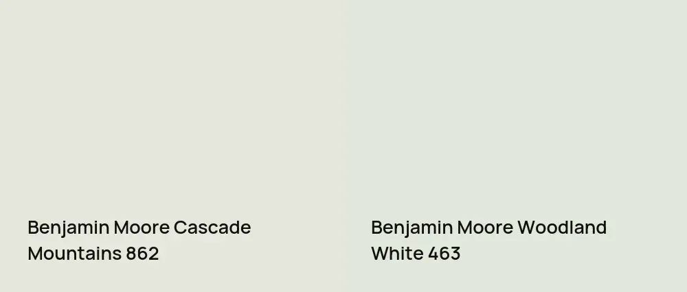 Benjamin Moore Cascade Mountains 862 vs Benjamin Moore Woodland White 463