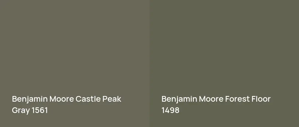 Benjamin Moore Castle Peak Gray 1561 vs Benjamin Moore Forest Floor 1498