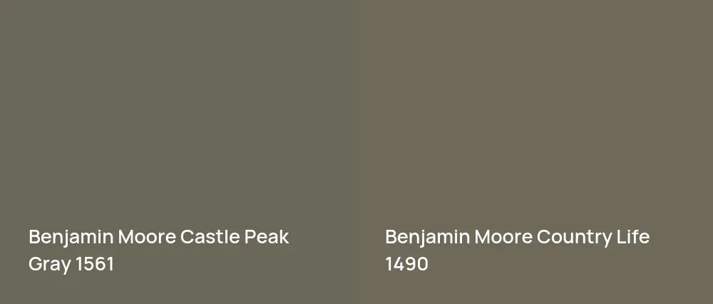 Benjamin Moore Castle Peak Gray 1561 vs Benjamin Moore Country Life 1490
