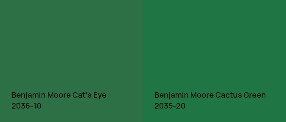 Benjamin Moore Cat's Eye 2036-10 vs Benjamin Moore Cactus Green 2035-20