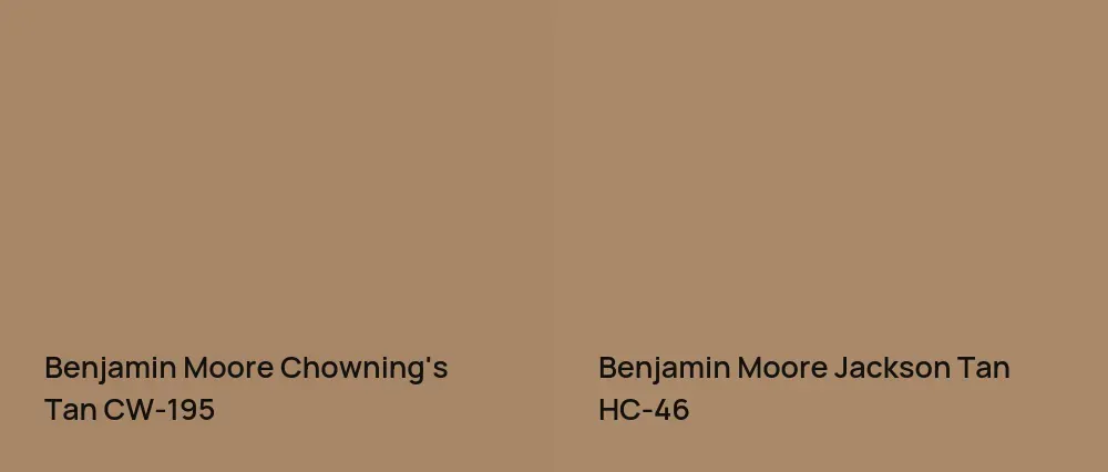 Benjamin Moore Chowning's Tan CW-195 vs Benjamin Moore Jackson Tan HC-46
