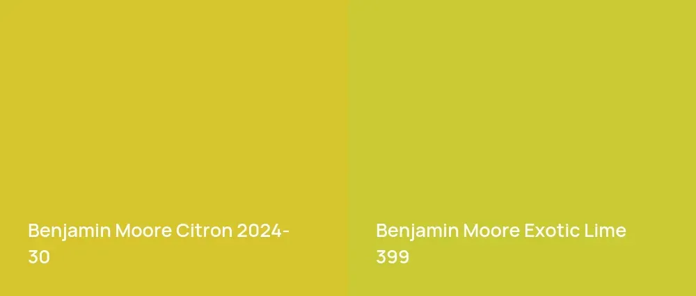 Benjamin Moore Citron 2024-30 vs Benjamin Moore Exotic Lime 399