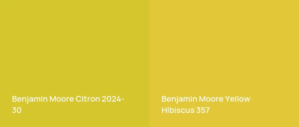 Benjamin Moore Citron 2024-30 vs Benjamin Moore Yellow Hibiscus 357