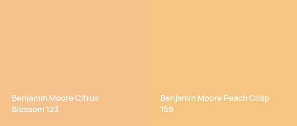 Benjamin Moore Citrus Blossom 123 vs Benjamin Moore Peach Crisp 159