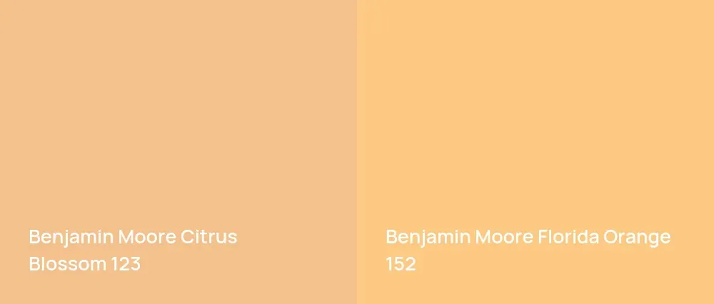 Benjamin Moore Citrus Blossom 123 vs Benjamin Moore Florida Orange 152