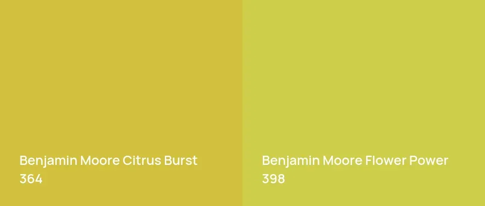 Benjamin Moore Citrus Burst 364 vs Benjamin Moore Flower Power 398