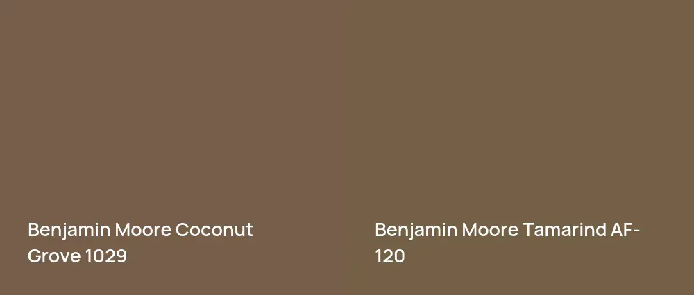 Benjamin Moore Coconut Grove 1029 vs Benjamin Moore Tamarind AF-120