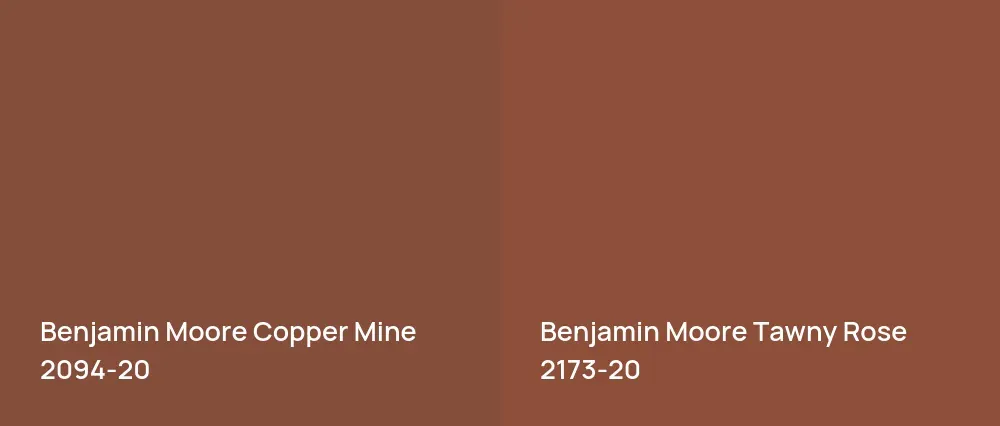 Benjamin Moore Copper Mine 2094-20 vs Benjamin Moore Tawny Rose 2173-20