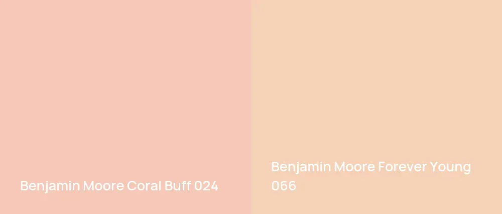 Benjamin Moore Coral Buff 024 vs Benjamin Moore Forever Young 066