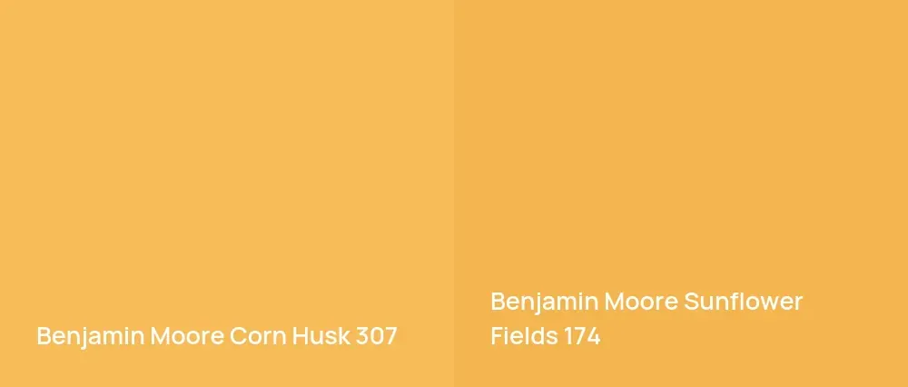 Benjamin Moore Corn Husk 307 vs Benjamin Moore Sunflower Fields 174