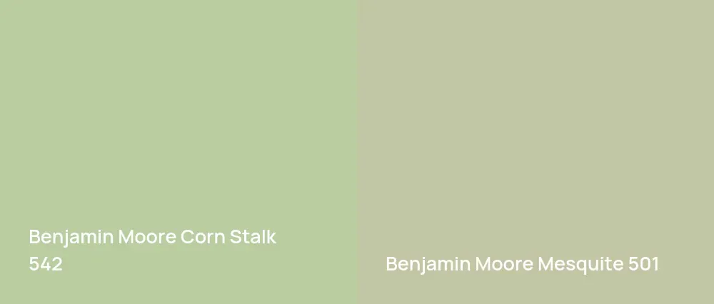 Benjamin Moore Corn Stalk 542 vs Benjamin Moore Mesquite 501