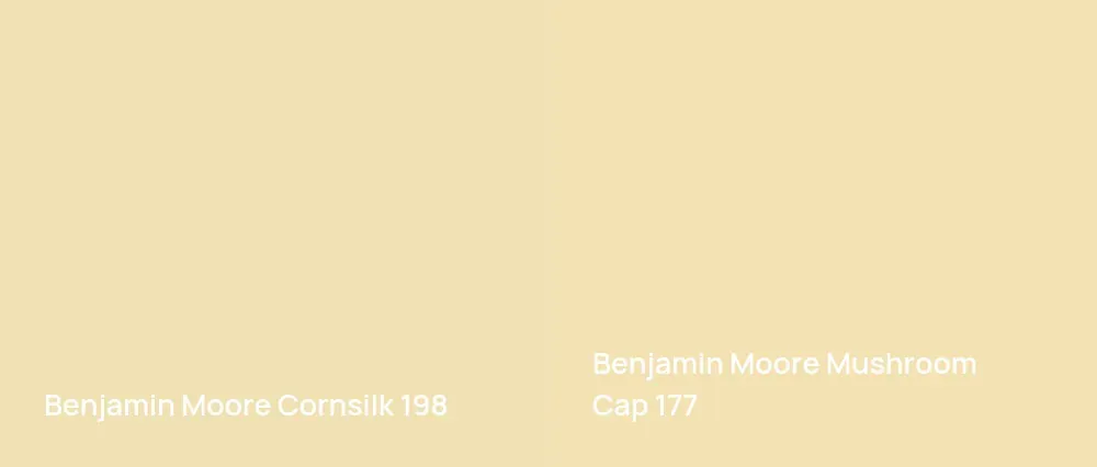 Benjamin Moore Cornsilk 198 vs Benjamin Moore Mushroom Cap 177