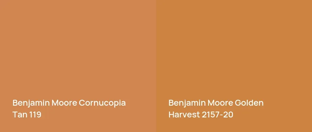 Benjamin Moore Cornucopia Tan 119 vs Benjamin Moore Golden Harvest 2157-20