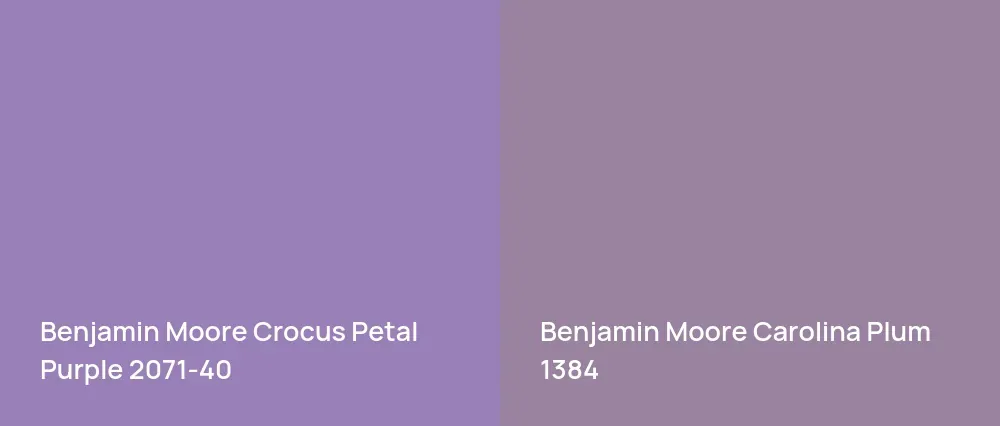 Benjamin Moore Crocus Petal Purple 2071-40 vs Benjamin Moore Carolina Plum 1384