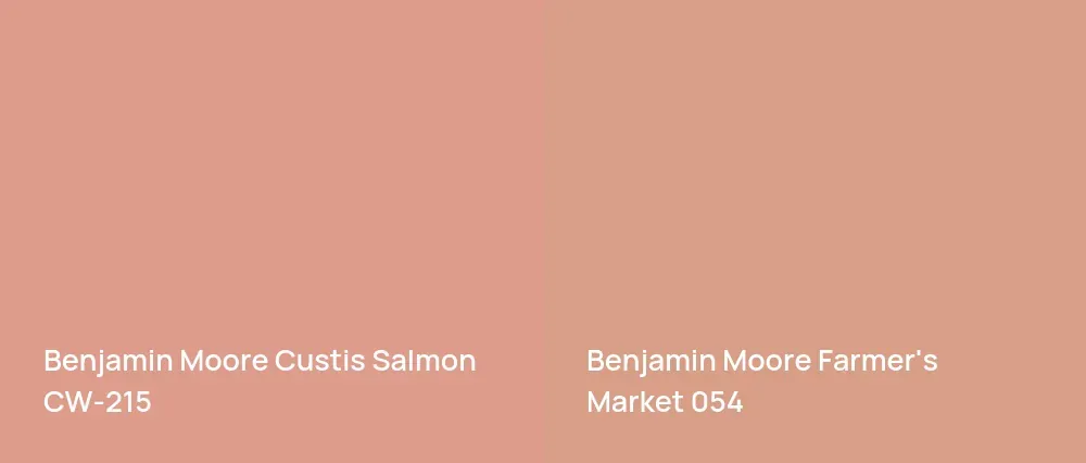 Benjamin Moore Custis Salmon CW-215 vs Benjamin Moore Farmer's Market 054