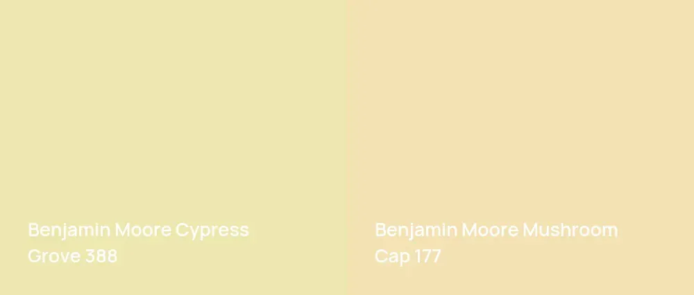 Benjamin Moore Cypress Grove 388 vs Benjamin Moore Mushroom Cap 177