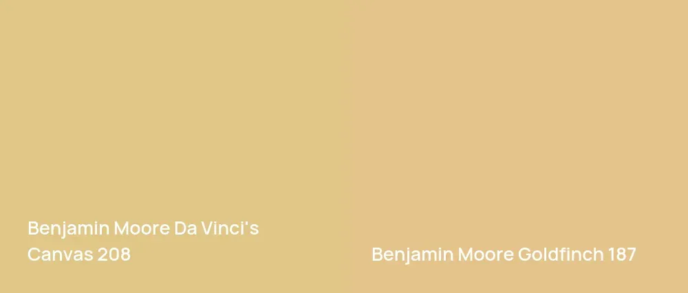 Benjamin Moore Da Vinci's Canvas 208 vs Benjamin Moore Goldfinch 187
