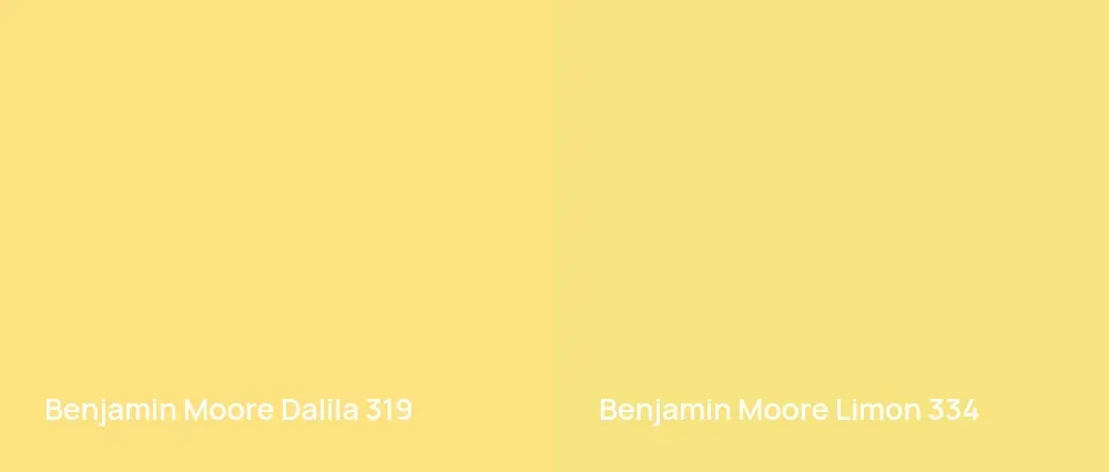 Benjamin Moore Dalila 319 vs Benjamin Moore Limon 334