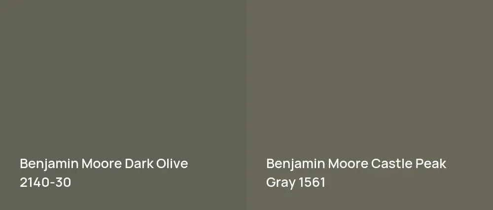 Benjamin Moore Dark Olive 2140-30 vs Benjamin Moore Castle Peak Gray 1561