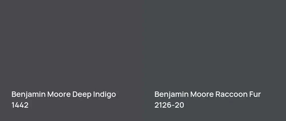 Benjamin Moore Deep Indigo 1442 vs Benjamin Moore Raccoon Fur 2126-20