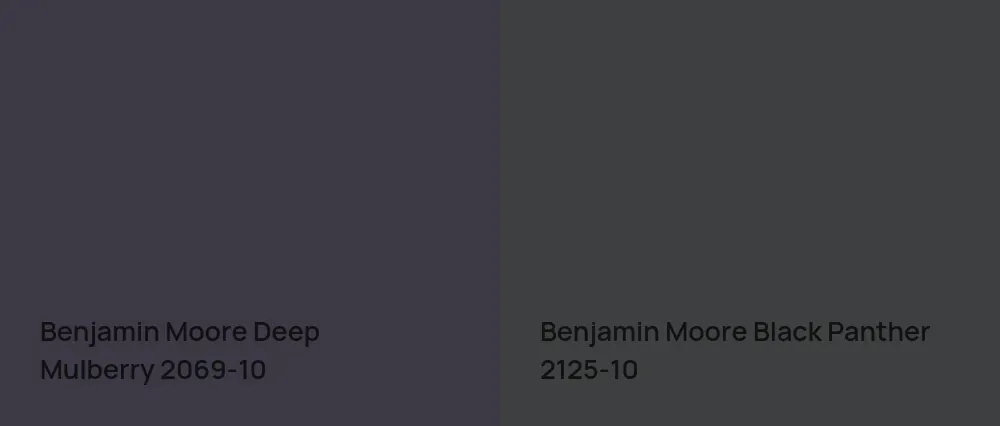 Benjamin Moore Deep Mulberry 2069-10 vs Benjamin Moore Black Panther 2125-10