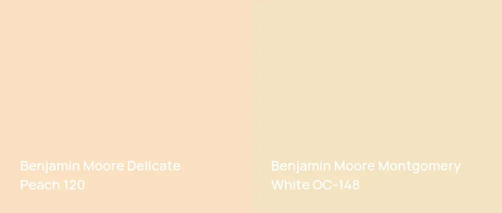 Benjamin Moore Delicate Peach 120 vs Benjamin Moore Montgomery White OC-148