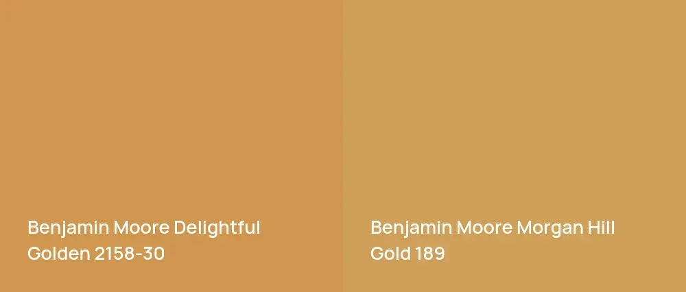 Benjamin Moore Delightful Golden 2158-30 vs Benjamin Moore Morgan Hill Gold 189