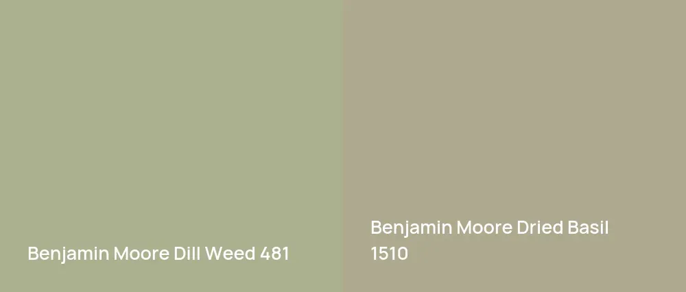 Benjamin Moore Dill Weed 481 vs Benjamin Moore Dried Basil 1510