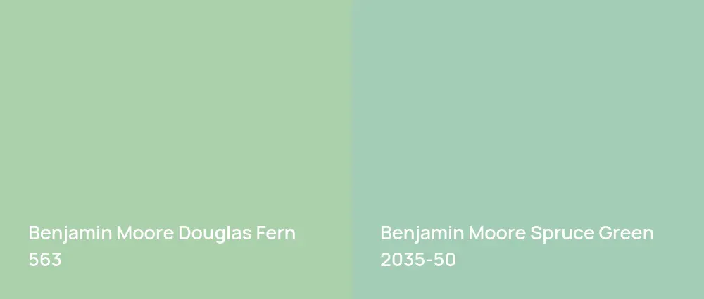 Benjamin Moore Douglas Fern 563 vs Benjamin Moore Spruce Green 2035-50