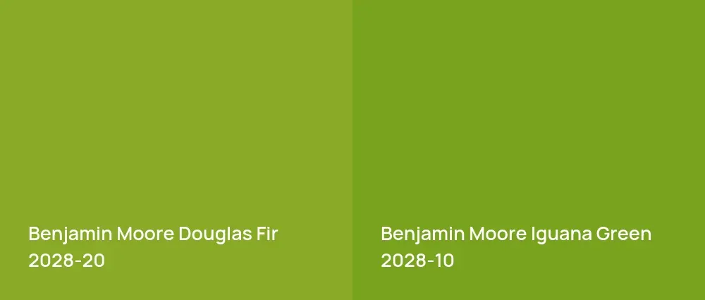 Benjamin Moore Douglas Fir 2028-20 vs Benjamin Moore Iguana Green 2028-10