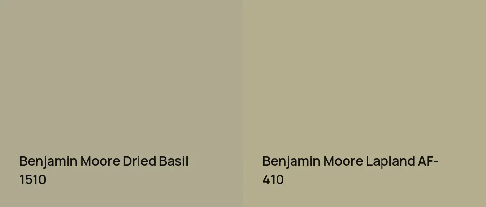 Benjamin Moore Dried Basil 1510 vs Benjamin Moore Lapland AF-410