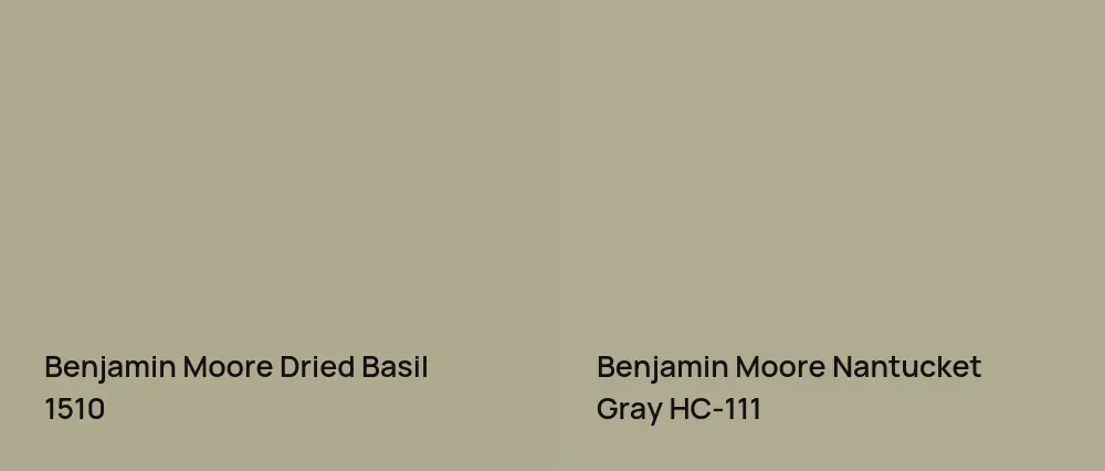 Benjamin Moore Dried Basil 1510 vs Benjamin Moore Nantucket Gray HC-111