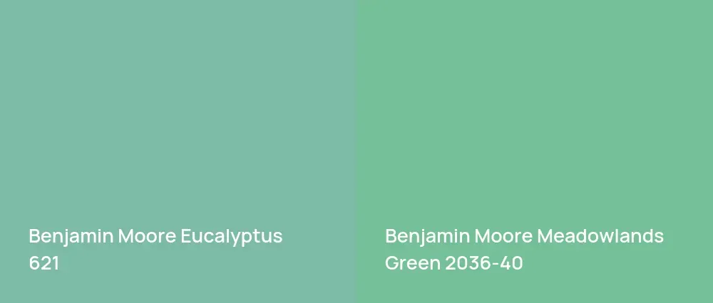 Benjamin Moore Eucalyptus 621 vs Benjamin Moore Meadowlands Green 2036-40