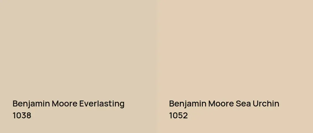 Benjamin Moore Everlasting 1038 vs Benjamin Moore Sea Urchin 1052