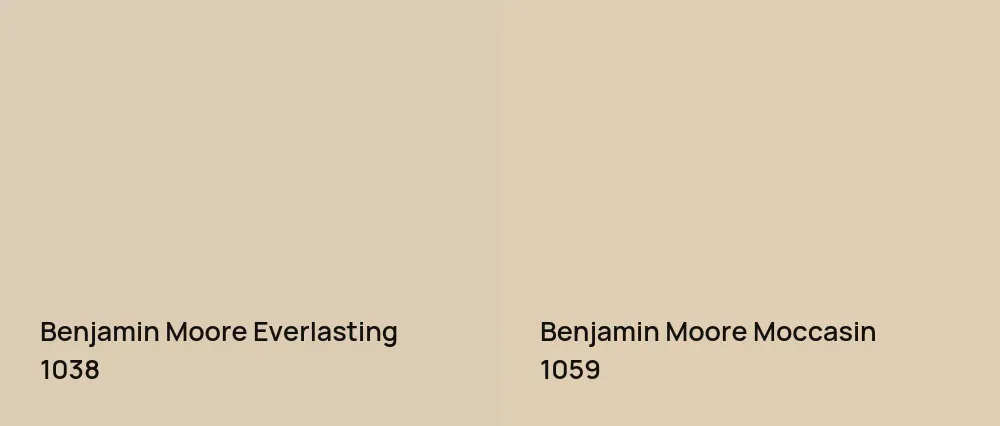 Benjamin Moore Everlasting 1038 vs Benjamin Moore Moccasin 1059