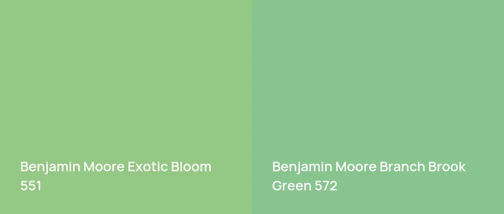 Benjamin Moore Exotic Bloom 551 vs Benjamin Moore Branch Brook Green 572