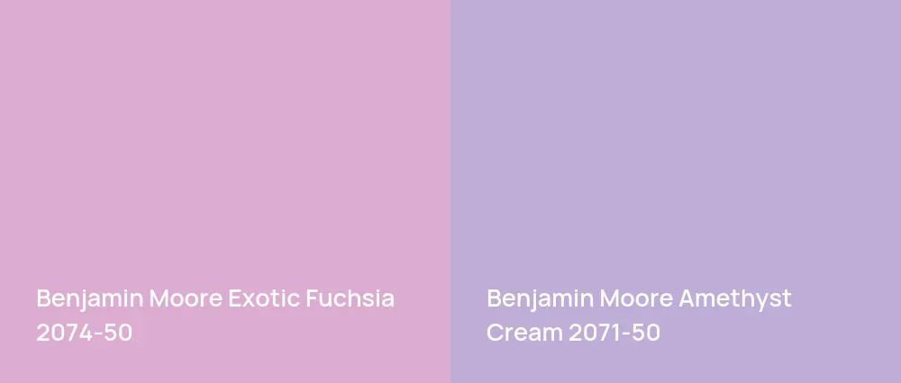 Benjamin Moore Exotic Fuchsia 2074-50 vs Benjamin Moore Amethyst Cream 2071-50