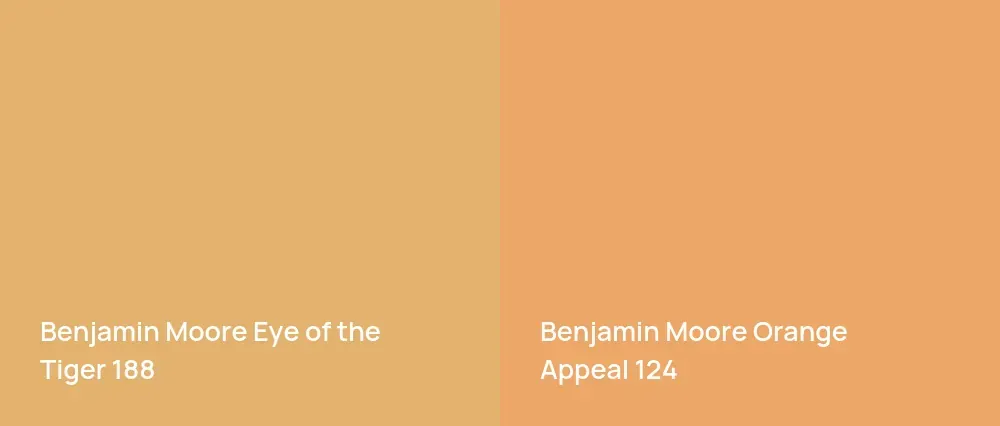 Benjamin Moore Eye of the Tiger 188 vs Benjamin Moore Orange Appeal 124
