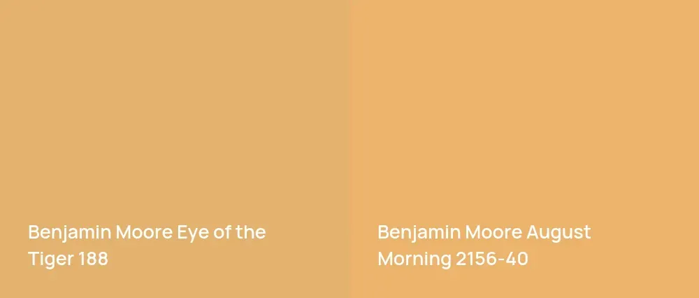 Benjamin Moore Eye of the Tiger 188 vs Benjamin Moore August Morning 2156-40