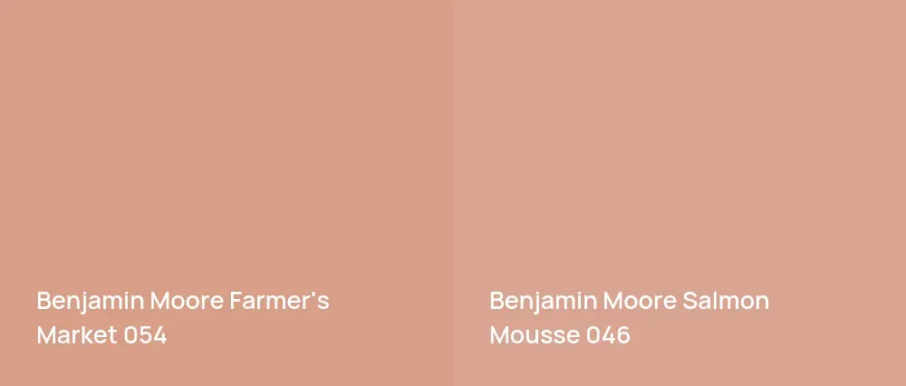 Benjamin Moore Farmer's Market 054 vs Benjamin Moore Salmon Mousse 046