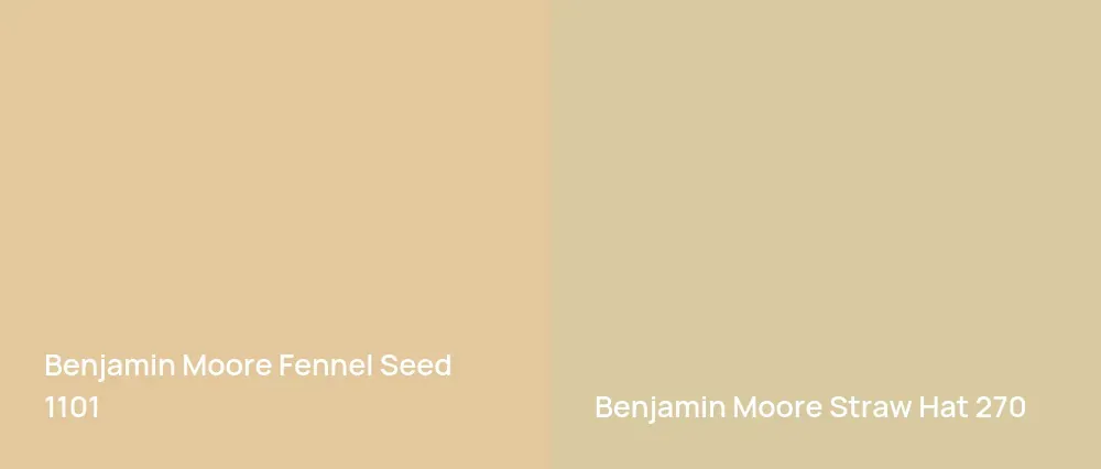 Benjamin Moore Fennel Seed 1101 vs Benjamin Moore Straw Hat 270