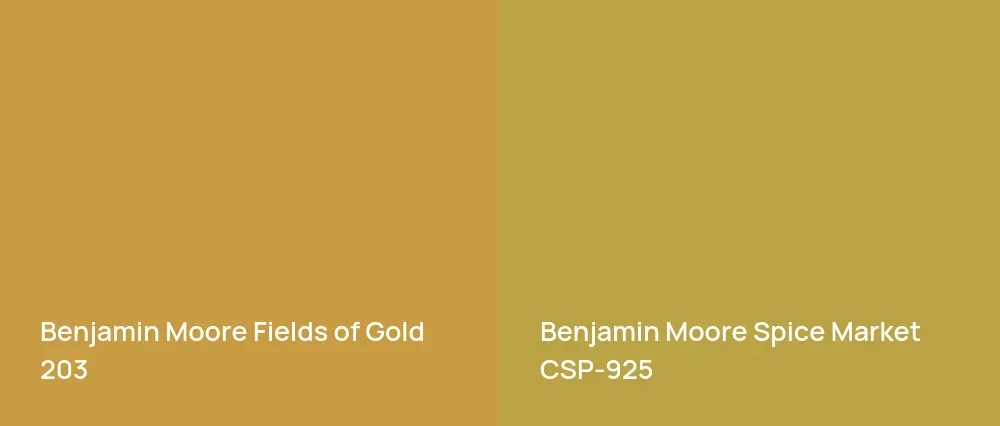 Benjamin Moore Fields of Gold 203 vs Benjamin Moore Spice Market CSP-925