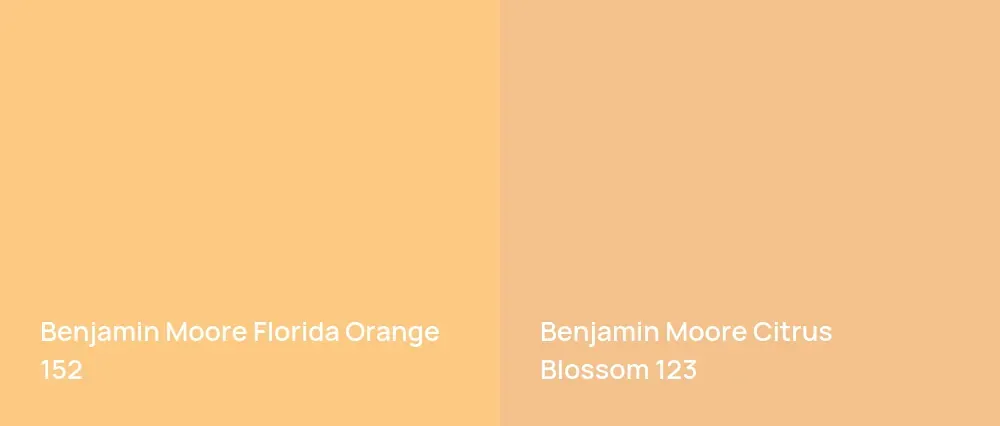 Benjamin Moore Florida Orange 152 vs Benjamin Moore Citrus Blossom 123